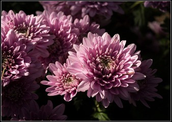 nEO_IMG_DSC02673.jpg