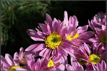 nEO_IMG_DSC02679.jpg