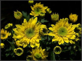 nEO_IMG_DSC02713.jpg