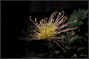 nEO_IMG_DSC02807.jpg