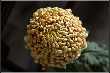 nEO_IMG_DSC02810.jpg