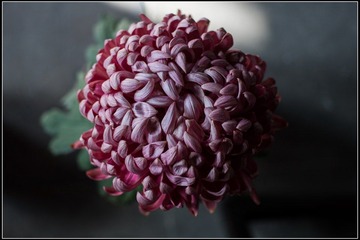 nEO_IMG_DSC02814.jpg