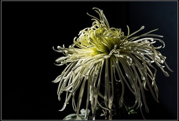 nEO_IMG_DSC02851.jpg