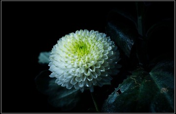 nEO_IMG_DSC02855.jpg