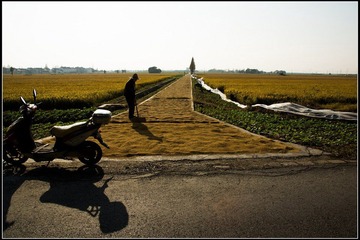 nEO_IMG_DSC03177.jpg