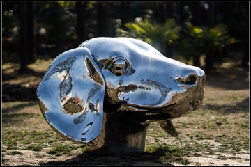 nEO_IMG_DSC00953.jpg