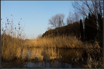 nEO_IMG_DSC01129.jpg