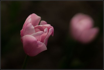 DSC05247.jpg