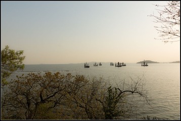 DSC06113.jpg