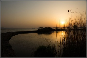 DSC06214.jpg