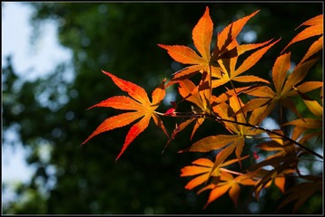 DSC08820.jpg