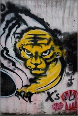 DSC00064.jpg