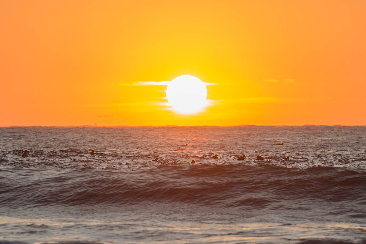 日出时出来觅食的海鸟,果然是早起的鸟儿有海鲜吃.