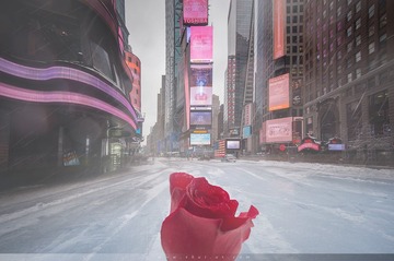 Times Square Today