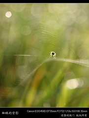 IMG_8431_1