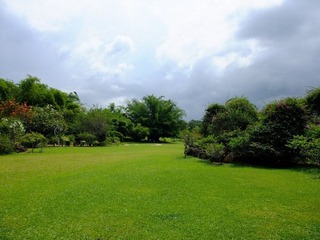 DSCF4139.JPG