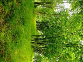 DSCF4144.JPG