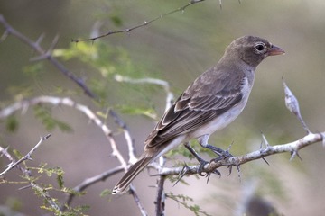 DSCF4386.JPG