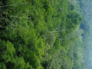 DSCF4426-2.jpg
