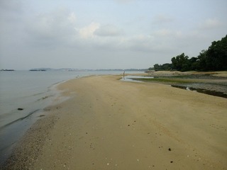 DSCF5031.JPG