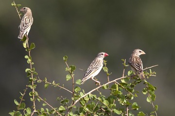 DSCF5119.jpg