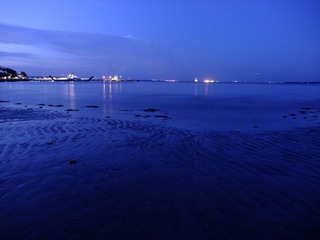 DSCF5606.JPG