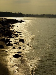 DSCF5486-2.jpg