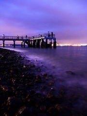 DSCF5526-2.jpg