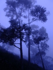 DSCF7198.jpg