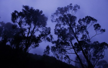 DSCF7205.jpg