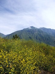 DSCF7238.jpg