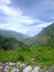 DSCF7253.jpg