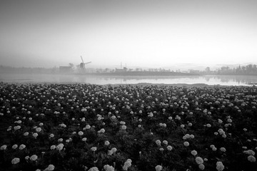 “IMG_3305”为智能对象-1-02