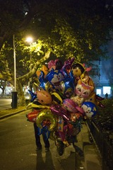 L1004552.jpg