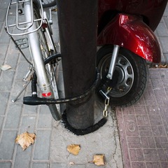 L1006285.jpg