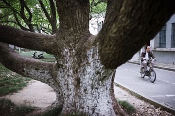 L1006340.jpg