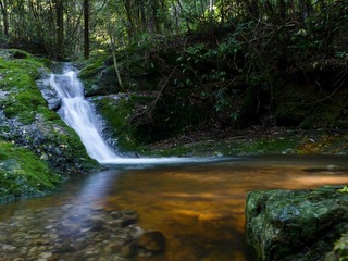 20120421-P1150701-2.jpg