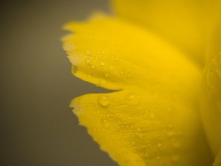 20120429-P1150734.jpg