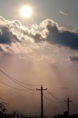 DSC_0816-3