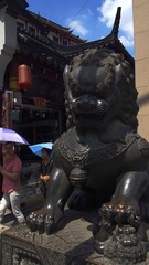 狮