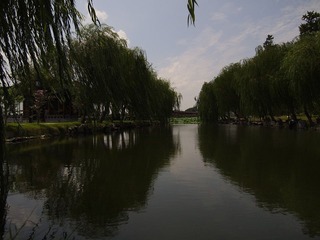 _8294614.JPG