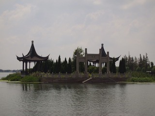 _8294650.JPG