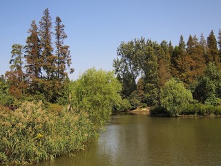 _A225774.jpg