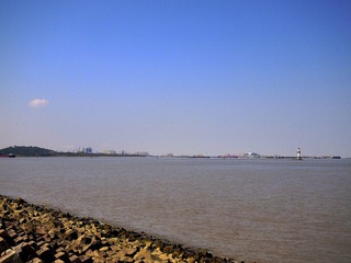 _A225818.jpg