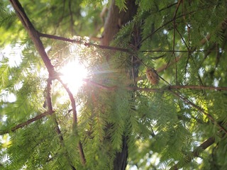 _A225893.jpg