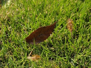 _A225900.jpg
