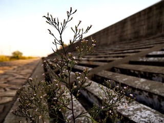 _A226066.jpg