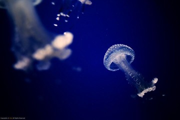 IMG_0006.jpg