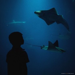 IMG_0077.jpg