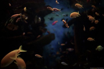 IMG_9957.jpg